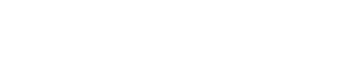 nametron dns services
